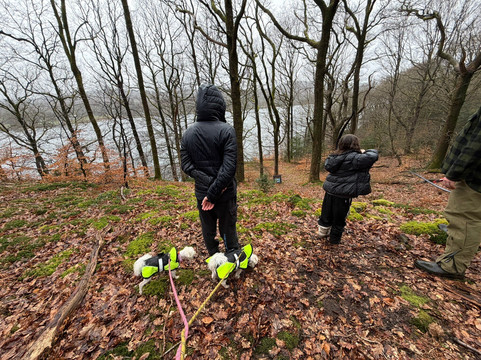 Green Man Survival-温德米尔必去景点