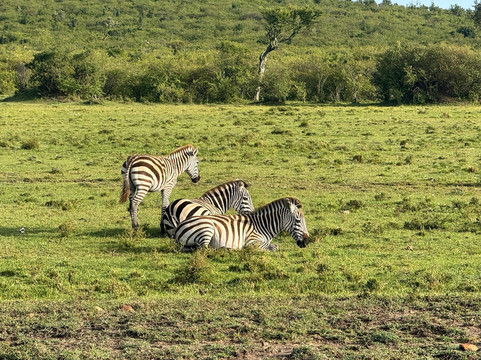 Journeys Beyond Africa-内罗毕必去景点