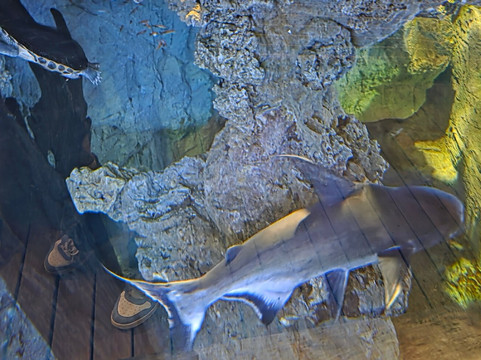 Aquarium du Limousin-利摩日必去景点