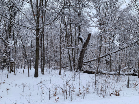 邓维拉湖旅馆主图