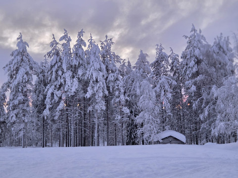 Ukko Lapland Oy-Sodankyla必去景点