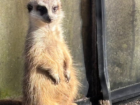 Texel Zoo-特塞尔必去景点