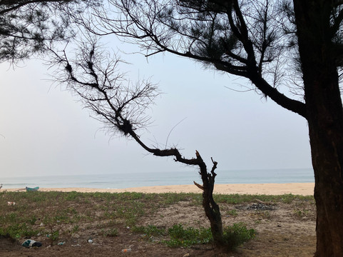 O'NEST Oceano Pearl -A Beach Home Stay主图