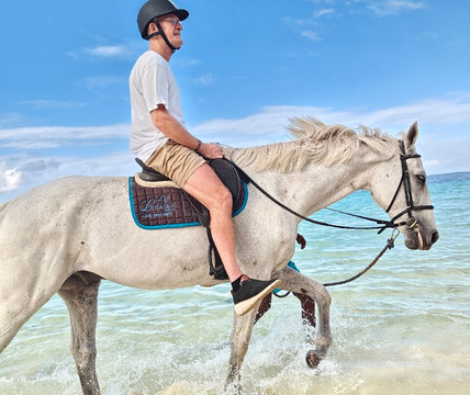 Legasea Stables Mauritius-Quatre Cocos必去景点