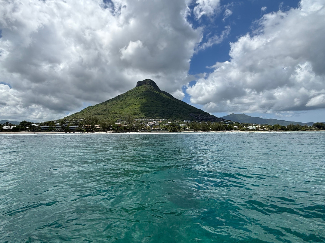 Dream Dolphin-黑河必去景点