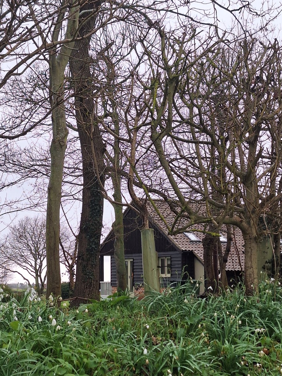 Magazine Wood-官方