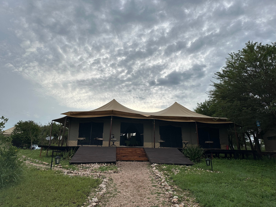 Matawi Serengeti Camp