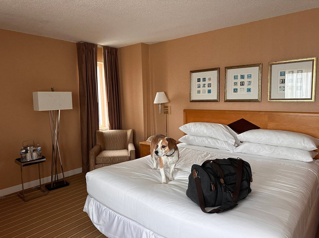 大西洋城会议中心喜来登酒店主图