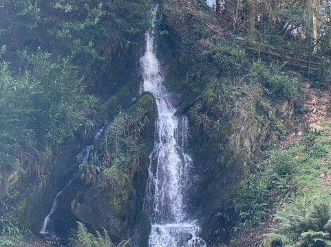 Hestercombe Gardens-汤顿必去景点