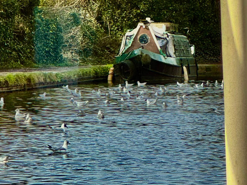 The Piano Boat-乌克斯桥必去景点