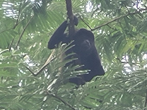 Sarapiqui River-Province of Heredia必去景点