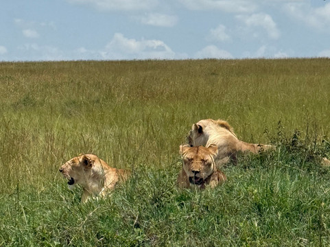 African Savannah Holidays-内罗毕必去景点