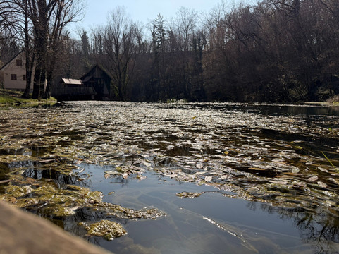 River Krupa Spring-Semic必去景点
