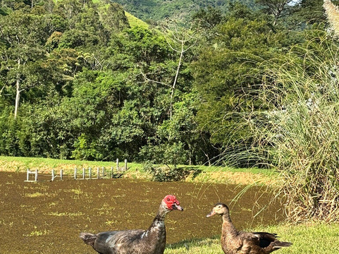 Fazenda Santa Cecilia-Miguel Pereira必去景点