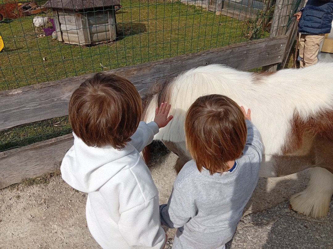 Gut Aiderbichl Henndorf-Henndorf am Wallersee必去景点