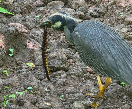 Playa Baquerizo-Puerto Baquerizo Moreno必去景点