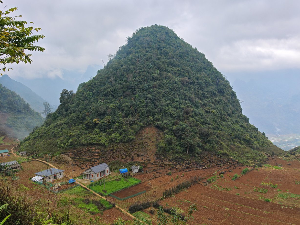 哈革良Yolo房屋和环游-官方