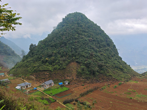 哈革良Yolo房屋和环游主图