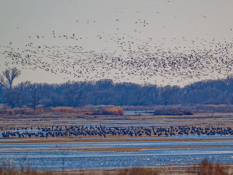 Crane Trust-Wood River必去景点