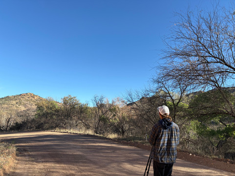American Birding Guides