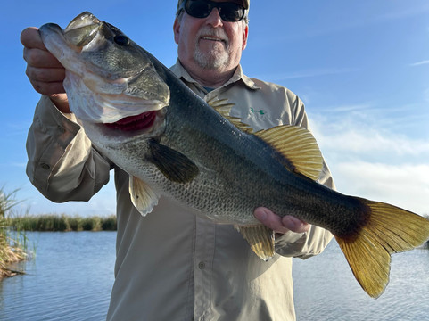 Okeechobee Bass Guide Service-奥基乔比必去景点