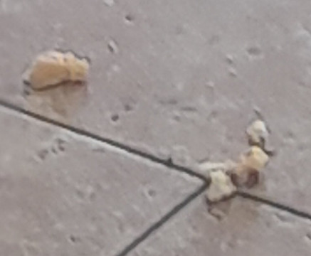 Jandia Golf Course-Morro del Jable必去景点