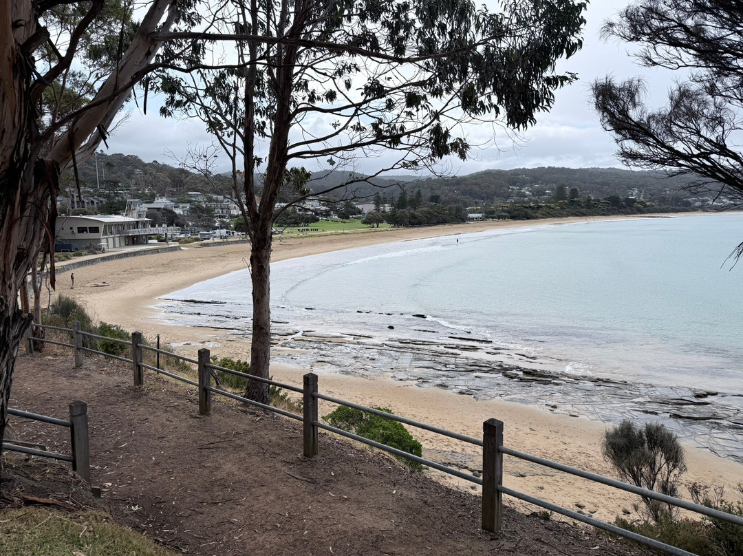 Great Ocean Road Private Luxury Tours-墨尔本必去景点