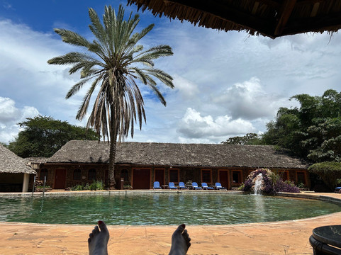 Designer Safari-内罗毕必去景点