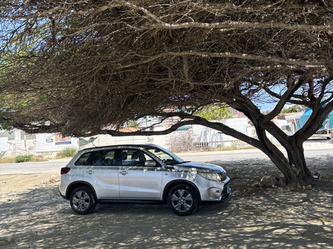 Tres Trapi Steps-Noord必去景点