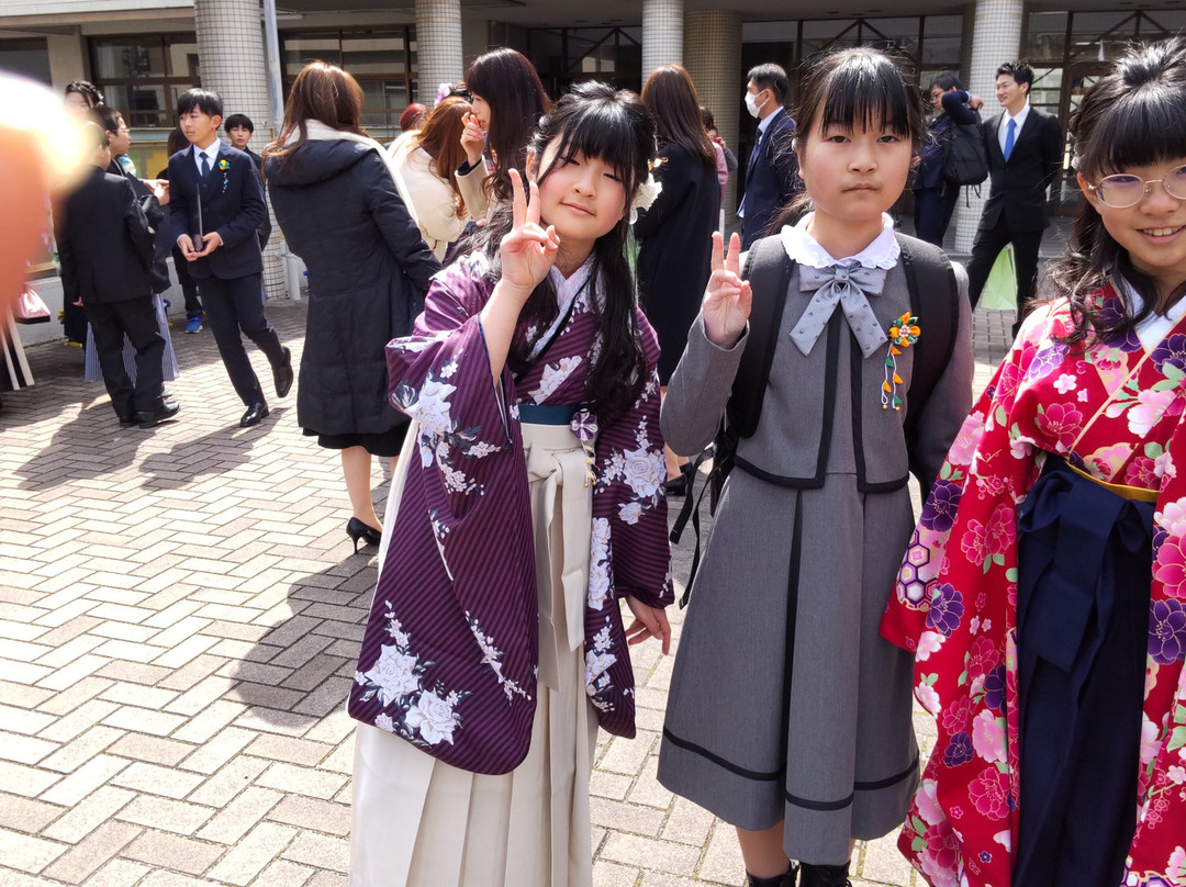 Elegant Hutte Kodama