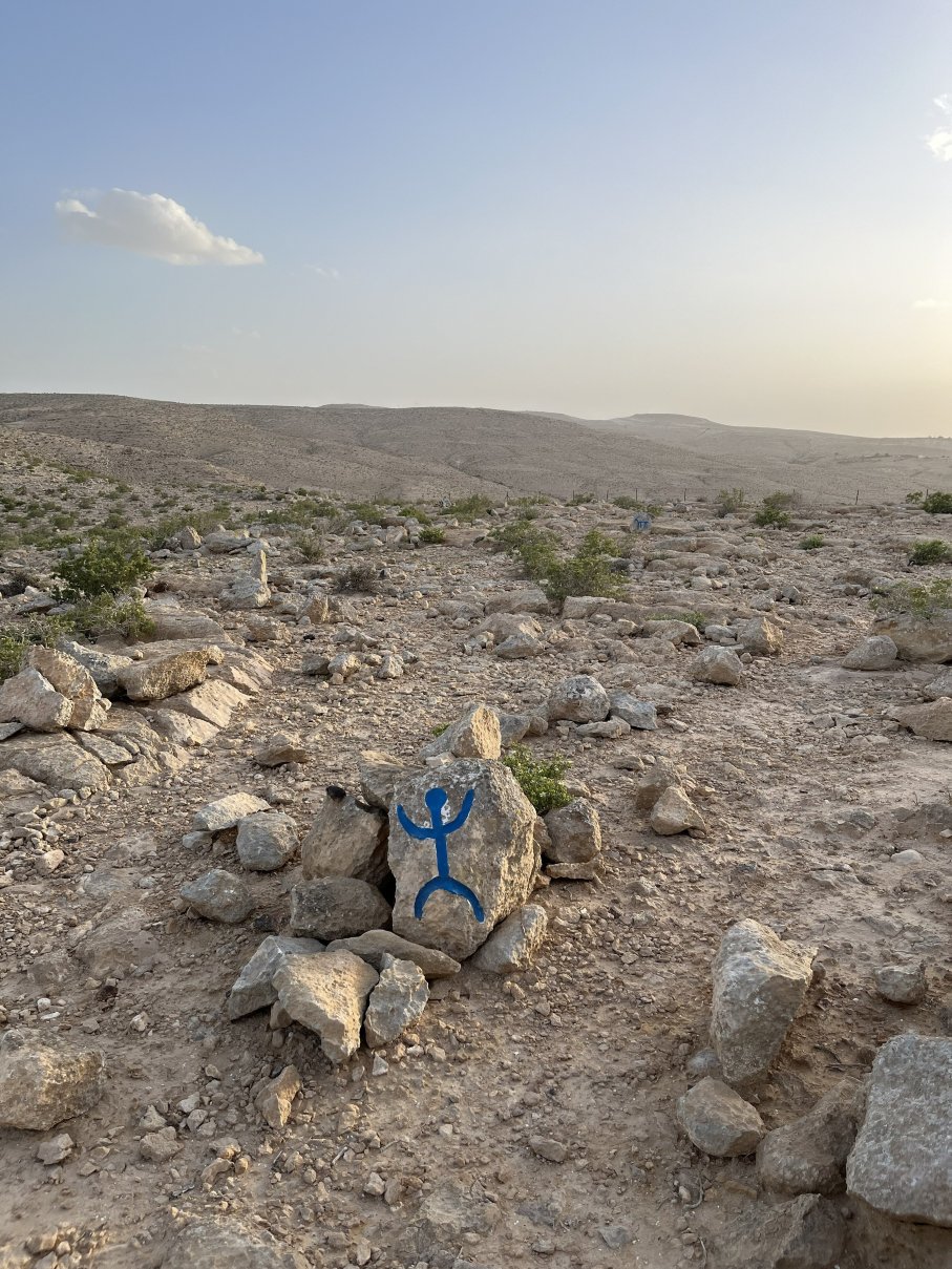 沙漠庄园卡梅·阿夫达特-官方