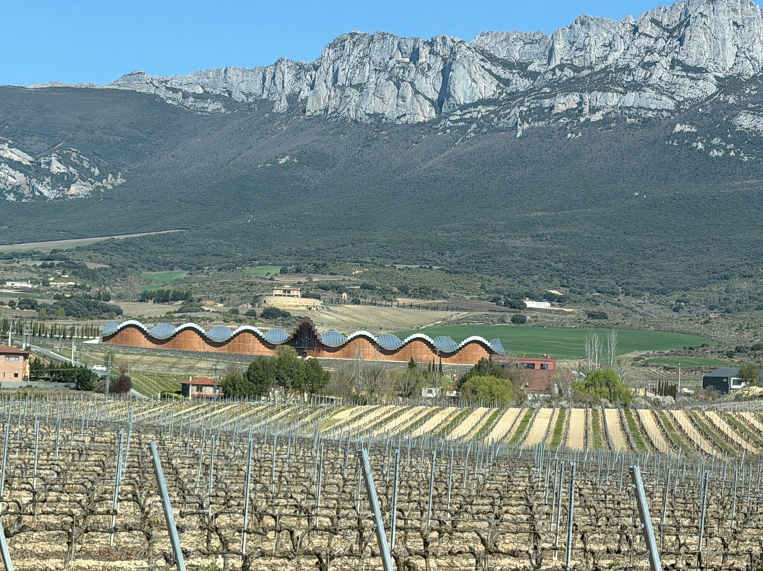 Bodegas Ysios-拉瓜迪亚必去景点