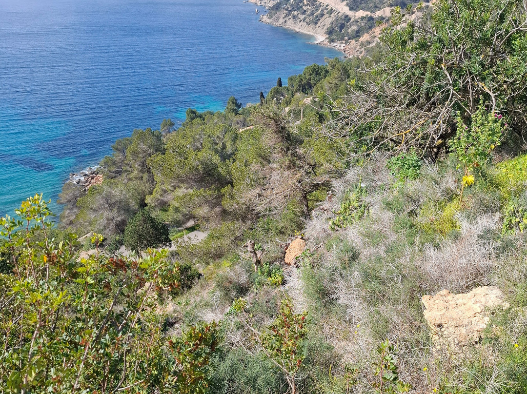 Cala Vadella-Cala Vadella必去景点