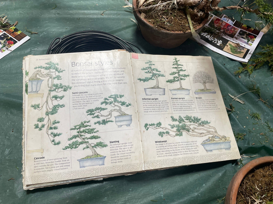 春花园 BONSAI 美术馆-江戸川区必去景点