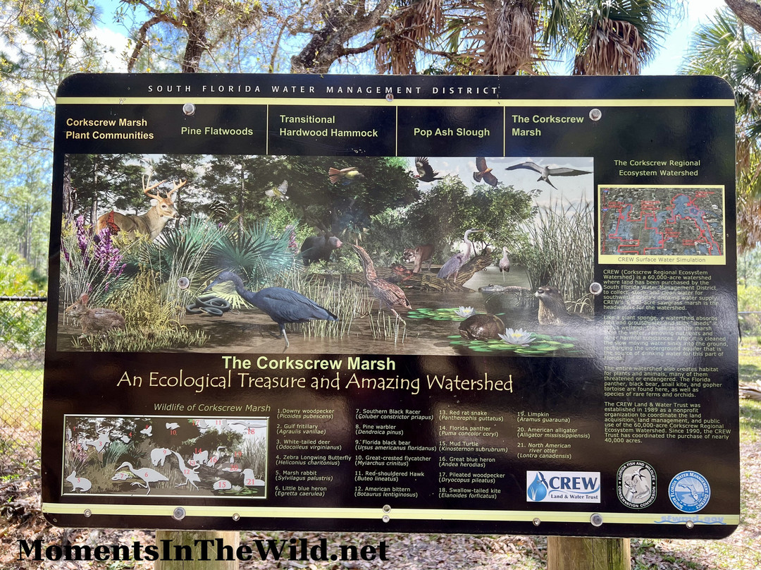 CREW Marsh Trails-Immokalee必去景点