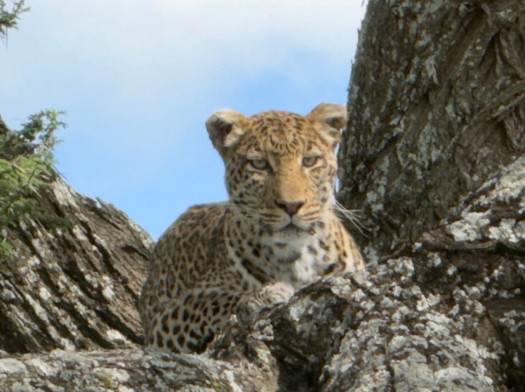 Tanzania-Experience-阿鲁沙必去景点
