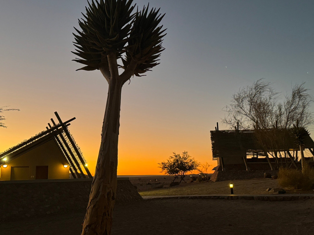 Namibia Tours & Safaris-斯瓦科普蒙德必去景点