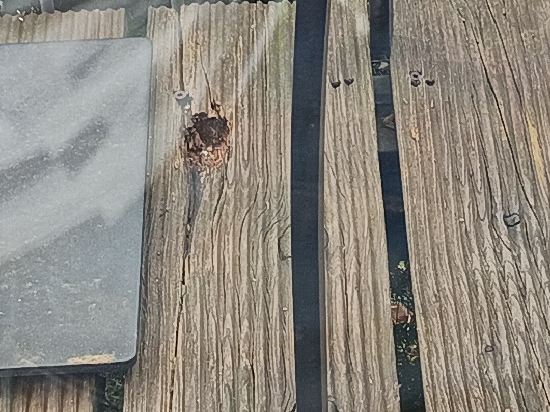 湖边Spa酒店主图