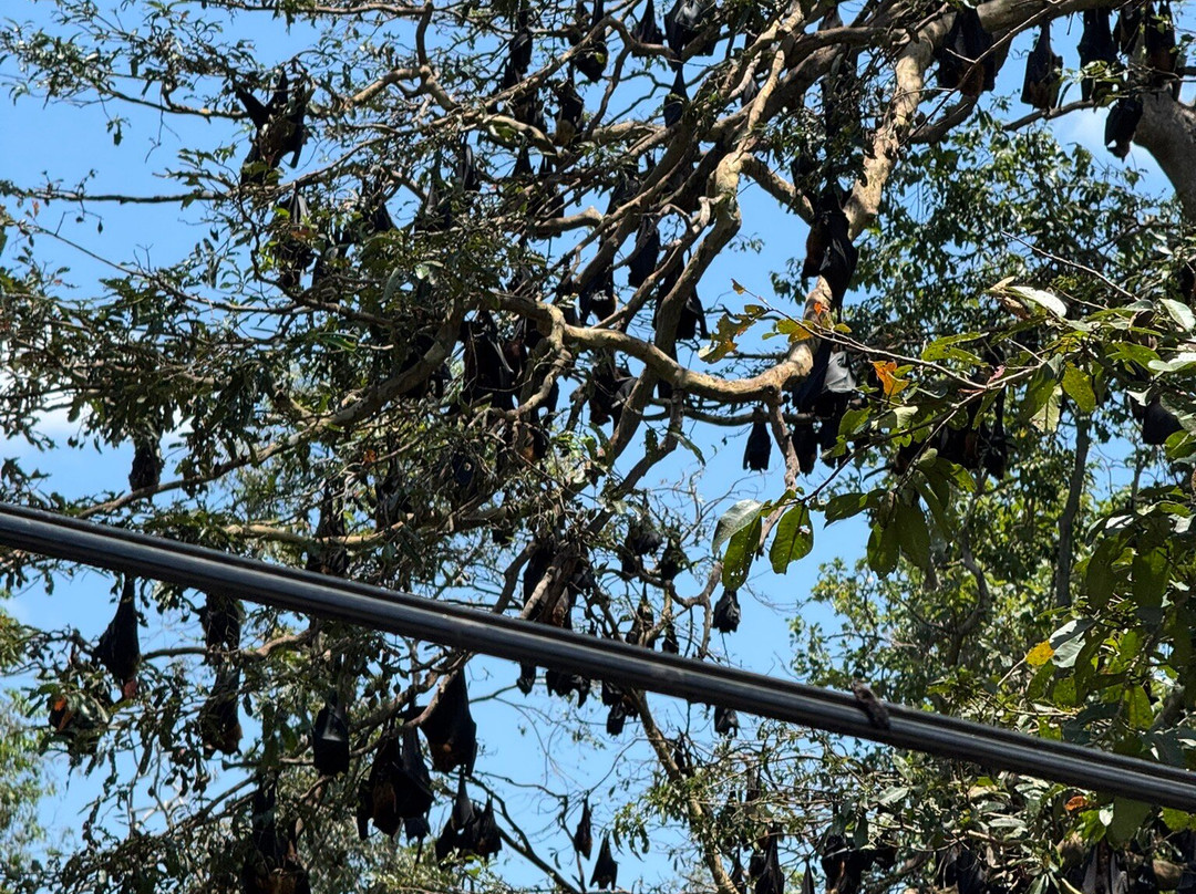 Ceylon Escapes-科伦坡必去景点