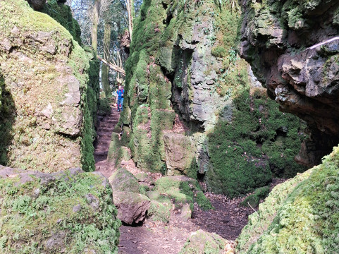 Puzzlewood-Coleford必去景点