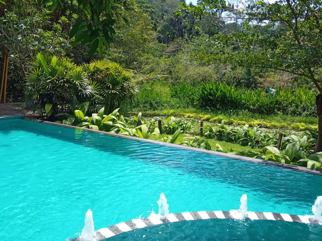 辛哈拉加森林边缘旅馆主图