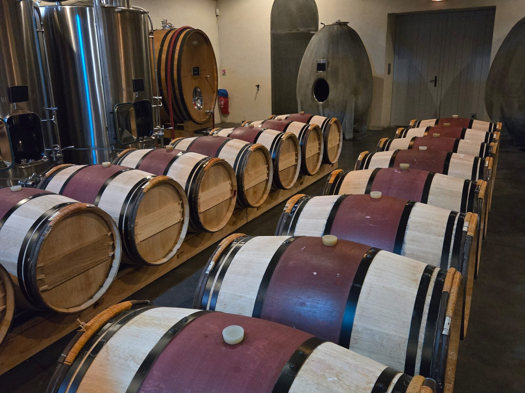 Chateau Du Tertre-Arsac必去景点