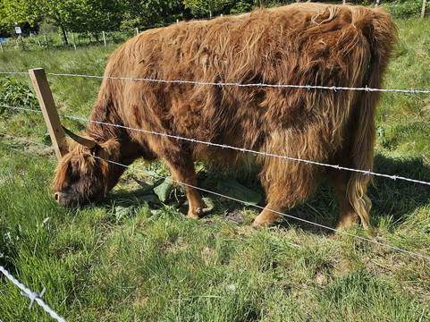Caledonian Canal-因弗内斯必去景点