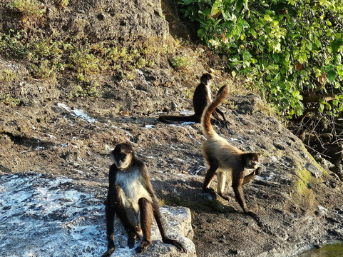 Catemaco Lake-Catemaco必去景点