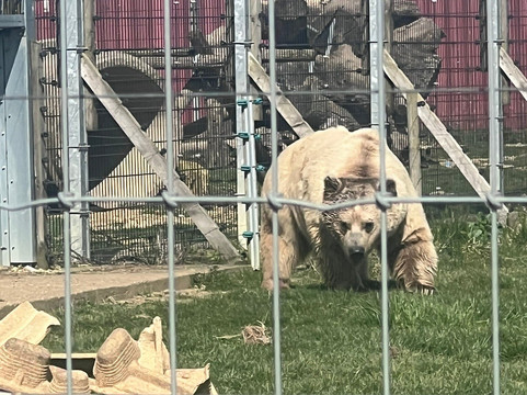 Hamerton Zoo Park-Sawtry必去景点