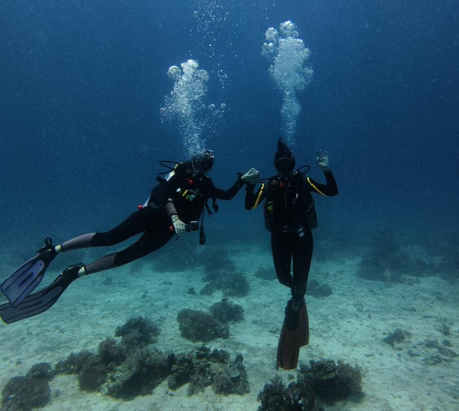 Mbi Divecenter-妈妈拍丝瓜岛必去景点