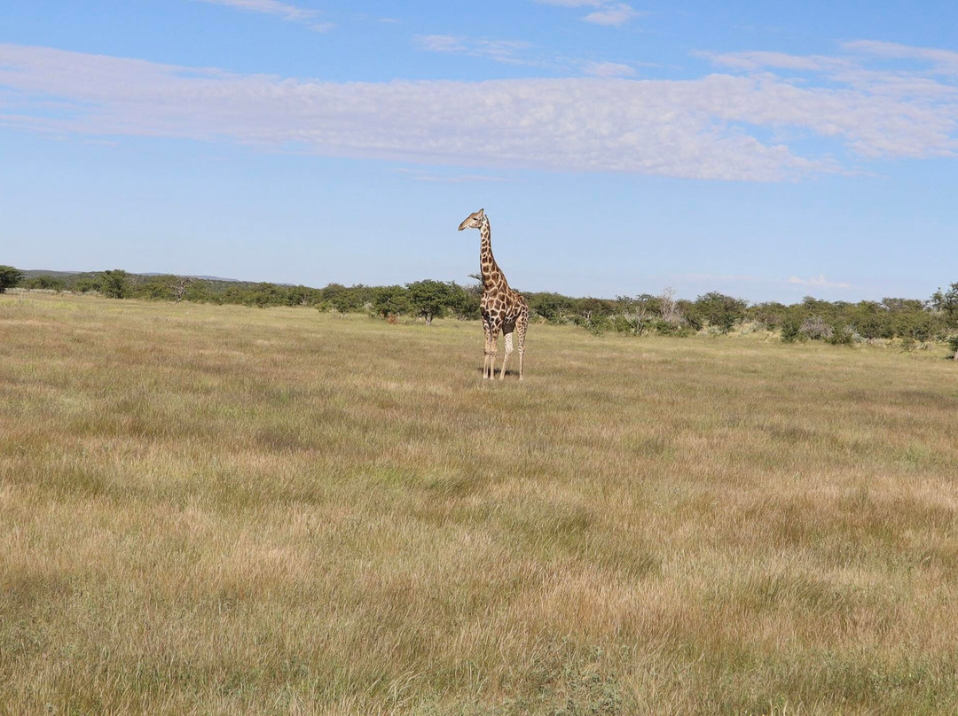 Safarihoek Lodge主图