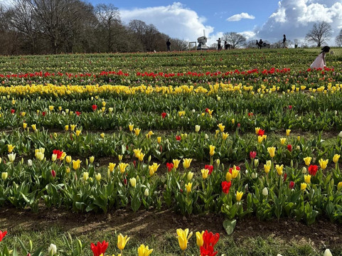 Tulleys-Turners Hill必去景点