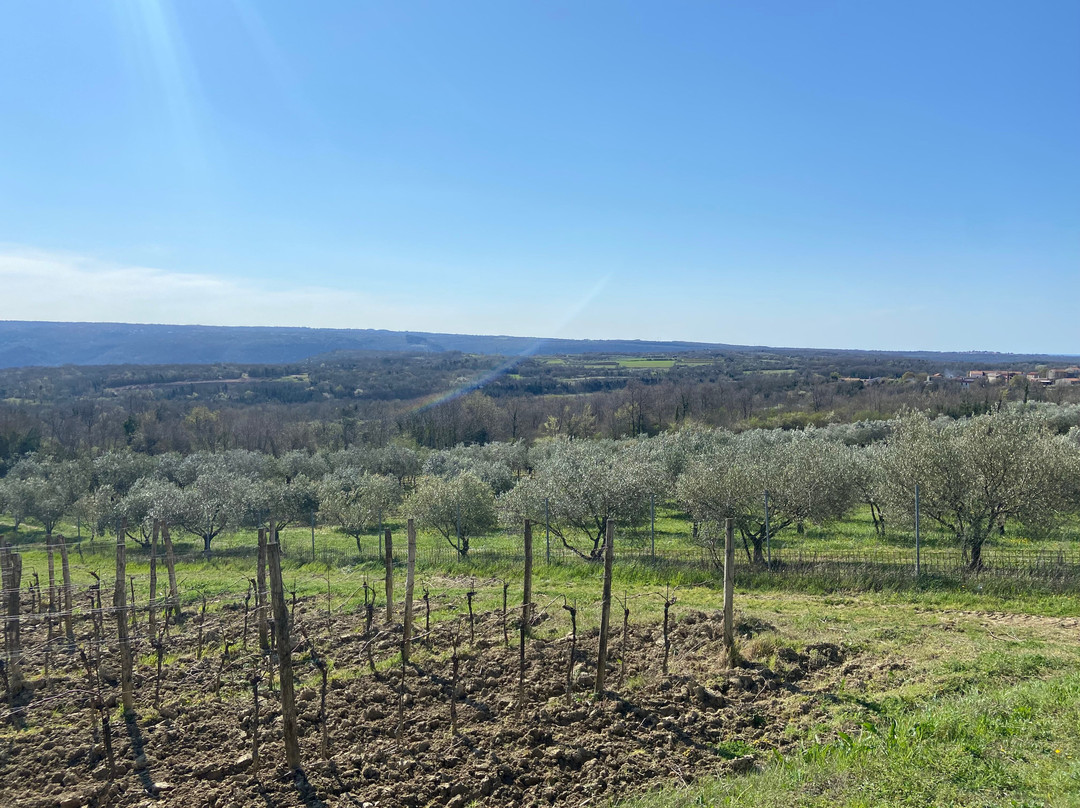 查图纳酒庄住宅酒店主图