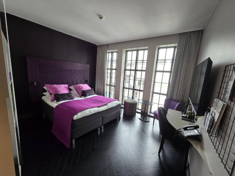 欧莉娜酒店-客卧